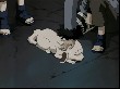 CNNaruto 034 AnimeZz.info(91)Naruto 033 AnimeZz.info(1).jpg